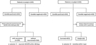 Candida in Lower Respiratory Tract Increases the Frequency of Acute Exacerbation of Chronic Obstructive Pulmonary Disease: A Retrospective Case-Control Study